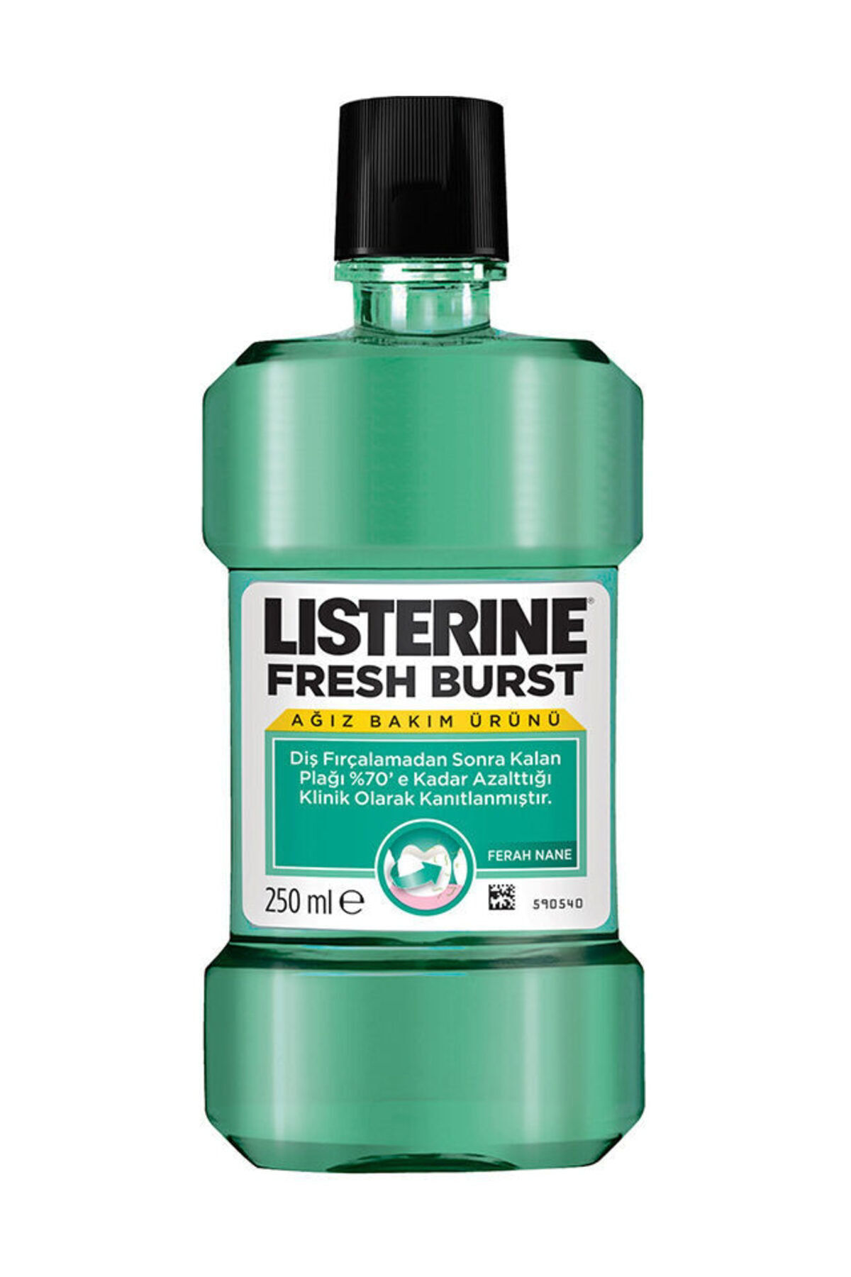 Listerine Fresh Burst Ferah Nane Ağız Bakım Suyu 250 Ml