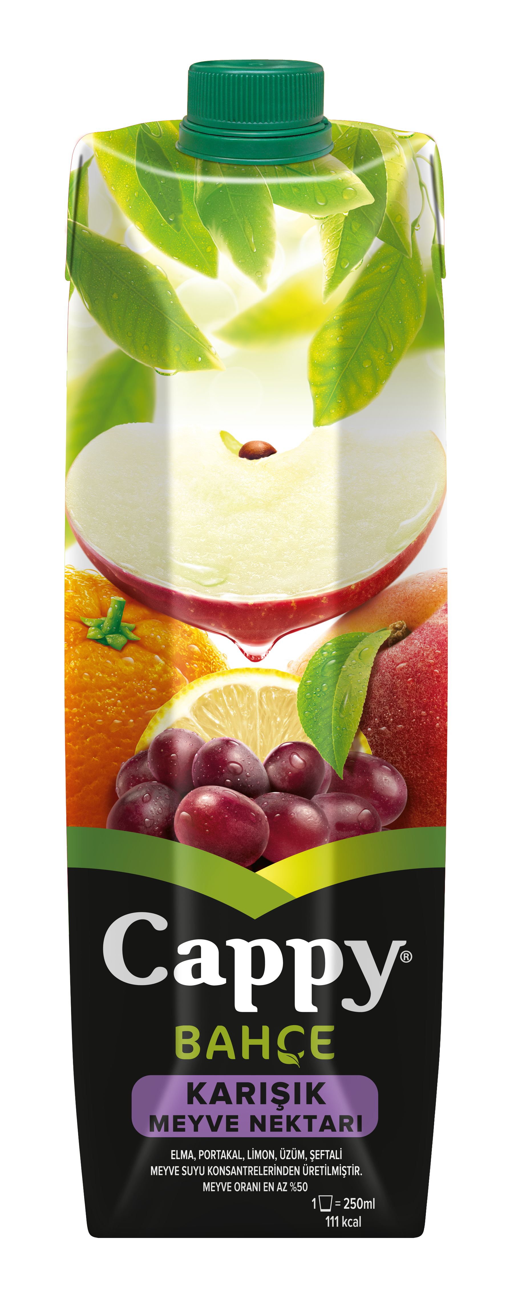 Cappy Karışık Meyve Suyu 1 Lt