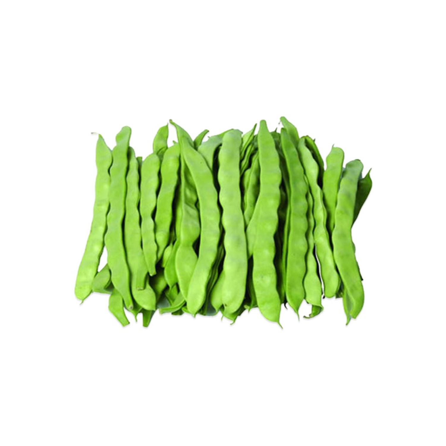 Fasulye Çalı - 500 Gr.