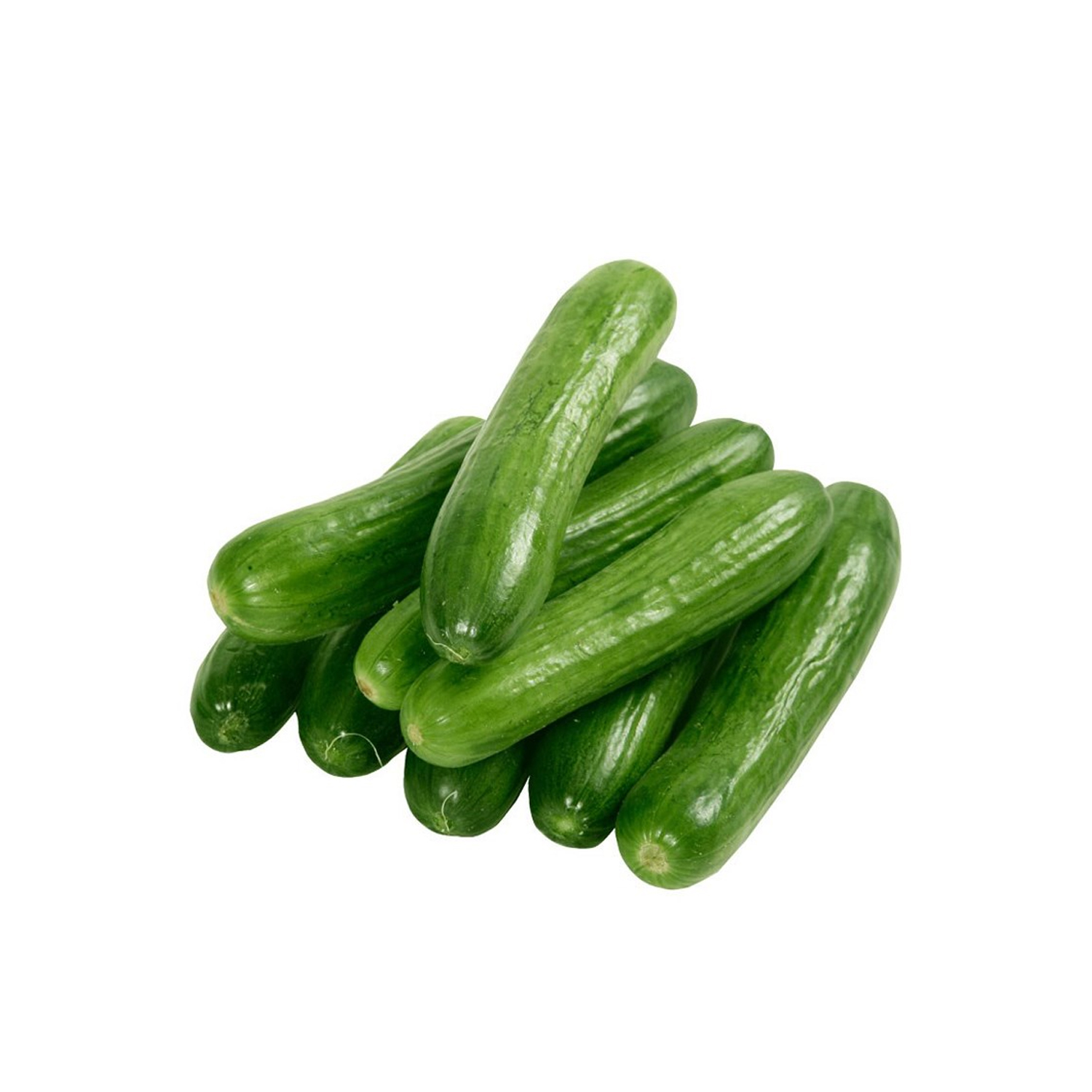 Salatalık Silör - 500 Gr.