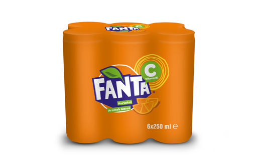 Fanta Portakal 6*250 Ml