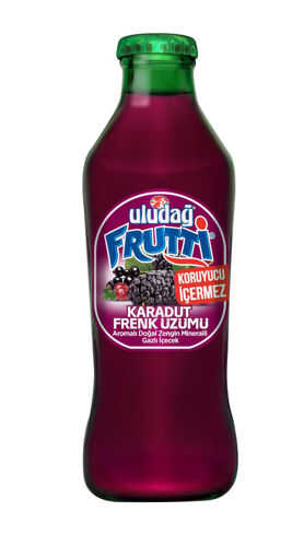 Uludağ Frutti Karadut&Frenk Üzümü Soda 200 Ml