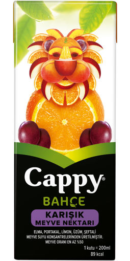 Cappy Karışık Meyve Suyu 200 Ml