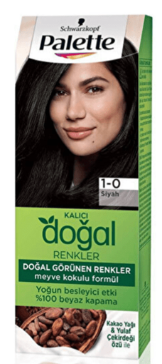 Palette Kalıcı Doğal Renkler 1-0 Siyah Saç Boyası