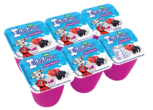 Sütaş Büyümix Orman Meyveleri 6*45 Gr