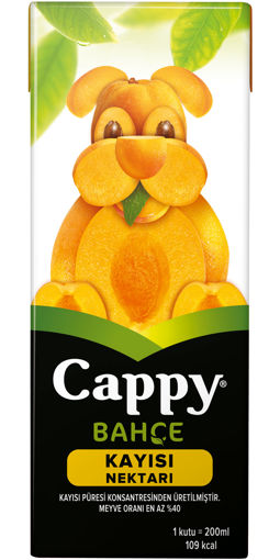 Cappy Kayısı Aromalı Meyve Suyu 200 Ml