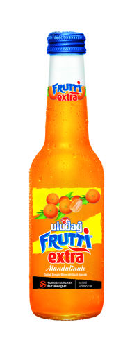 Uludağ Frutti Extra Mandalina Aromalı Maden Suyu 250 Ml