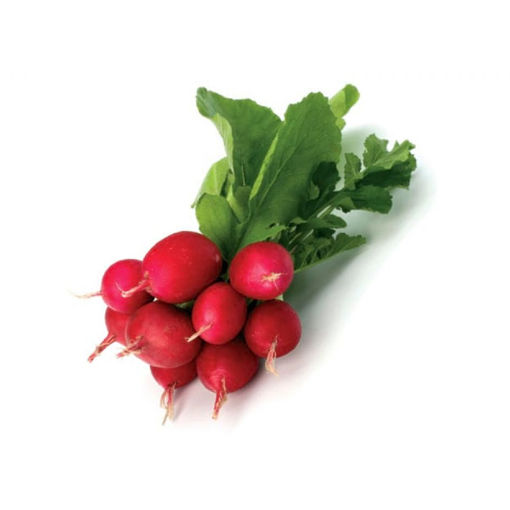 Turp Küçük Demet Adet