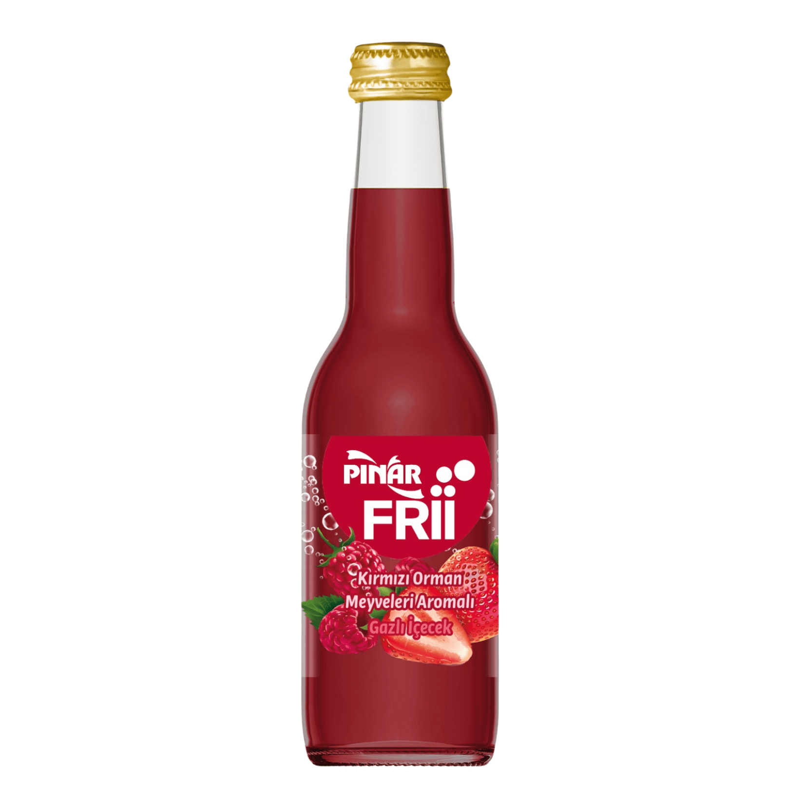 Pınar Frii Orman Meyveli 250 Ml