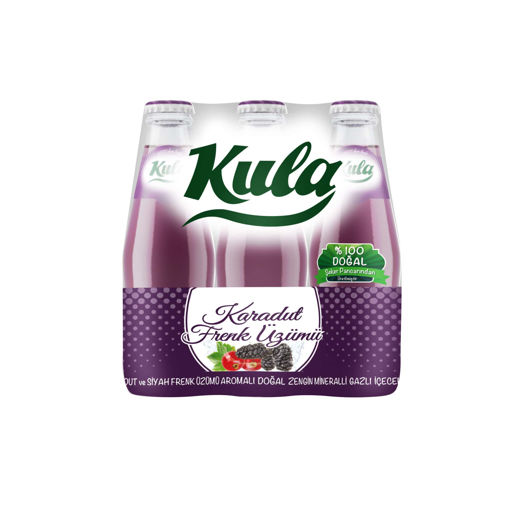 Kula Karadut&Frenk Üzümlü Maden Sodası 6*200 Ml