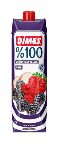 Dimes Nektar Orman Meyveleri Meyve Suyu 1 Litre